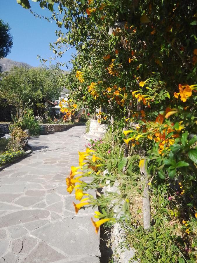 Casa De Mama Valle - ウルバンバ エクステリア 写真